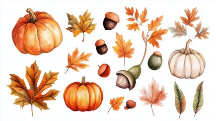 Maple leaves, pumpkins, nuts in clip art 