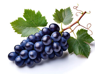 Fototapeta premium Dark blue grapes with leaves, isolated on a white background, ideal for food or wine-relate_1(308)