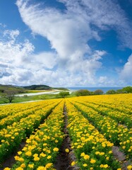 Expansive Flower Fields Under a Bright Spring Sky, Bursting with Color