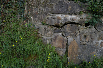 stone wall with moss