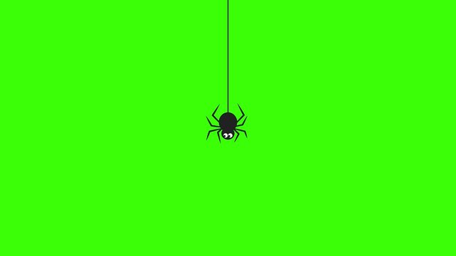 Black cartoon spider hanging on web strand on green screen. Overlay for compositing. Gloomy and scary Halloween.