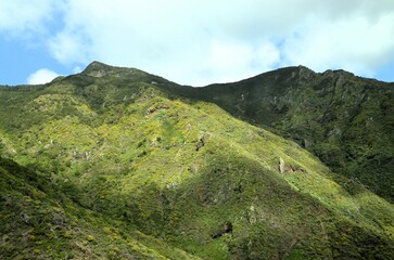 Tropical Mountains in Anaga Rural Park, Tenerife, Canary Islands