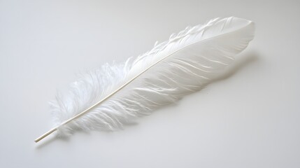96. A single white feather on a white background