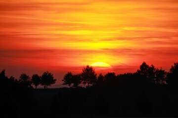 Dramatic Orange Sunset Over Silhouette Trees and Cloudy Sky