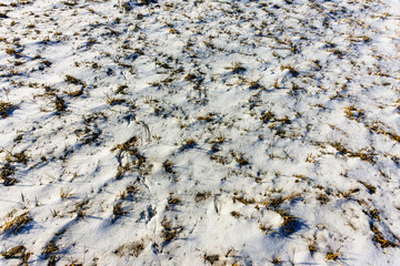 In winter, the meadow is covered with snow
