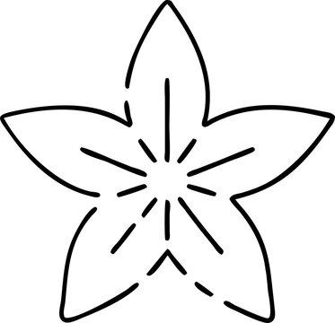 recommend clip art: star anise, icon outline gradient