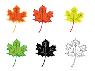 Hand Drawn Maple Leaf Different Colors. Nature and plants concept vector art
