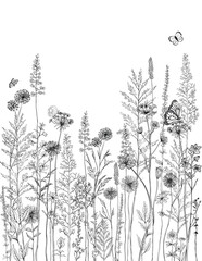 Black and white line drawing of various wildflowers and plants.Silhouettes of grass, flowers and herbs