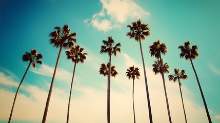 Fototapeta premium Palm trees stand tall against a vibrant blue sky.