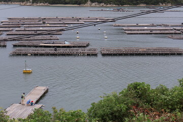 牡蠣筏のある風景, a raft for oyster farming