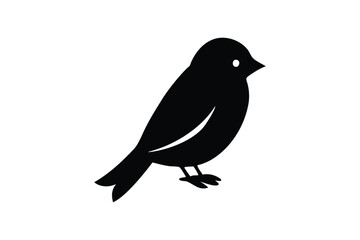 Cute Magpie Bird  vector art and illustration