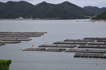 牡蠣筏のある風景, a raft for oyster farming