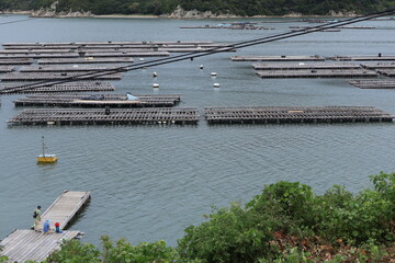 牡蠣筏のある風景, a raft for oyster farming