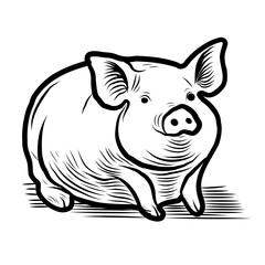 Sketch of a pig. Various poses of a sitting, standing piglet. Vintage illustration. Element for label, packaging and postcard design.