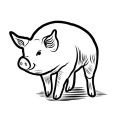 Sketch of a pig. Various poses of a sitting, standing piglet. Vintage illustration. Element for label, packaging and postcard design.