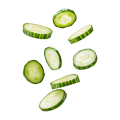 Set of Fresh Juicy Cucumber Slices Falling From Above Isolated on Transparent Background