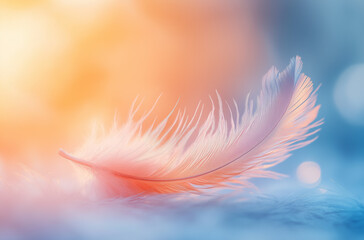 Fototapeta premium Symbol of Liberty: Feather of Freedom with Airy Plumes