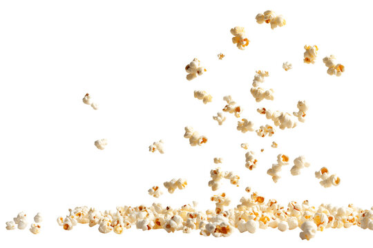 Creative food template. Popcorn corn kernel grains falling flying flow fall fly levitate scattered on transparent cutout PNG. Mockup for artwork graphic design	
