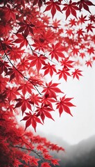 紅葉 赤い葉 自然美 秋 日本的 美しいディテール ミニマリズム 木の枝 クローズアップ 背景ぼかし 鮮やかな赤 色彩のコントラスト シンプルで洗練されたデザイン 光と影 風景撮影 自然の静けさ