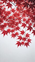 紅葉 赤い葉 自然美 秋 日本的 美しいディテール ミニマリズム 木の枝 クローズアップ 背景ぼかし 鮮やかな赤 色彩のコントラスト シンプルで洗練されたデザイン 光と影 風景撮影 自然の静けさ
