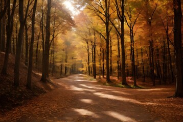 Obraz premium 秋の紅葉した美しい山道の風景、森林の風景