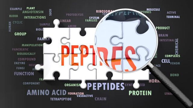 Peptides under magnifying glass, being researched, studied and examined. Most important subjects and ideas closely related to peptides written around a puzzle.Can be looped.