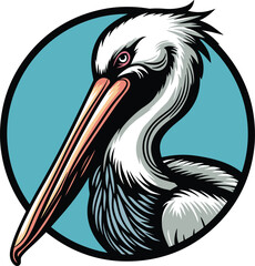 Pelican Clipart Detailed Drawing Design