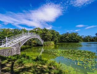 【北海道】大沼町・大沼国定公園