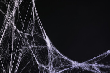 Cobweb against black background, toned in gradient violet color. Space for text
