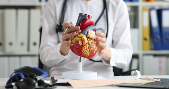 Woman doctor hands rotate artificial heart model at workplace in clinic. Female medic with stethoscope tunes example for demonstration at lesson
