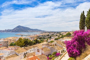 Fototapete bei efototapeten.de bestellen   