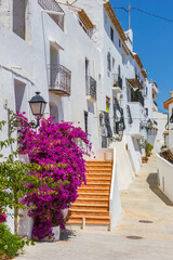 Fototapete bei efototapeten.de bestellen   