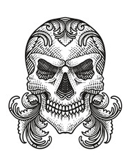 Illustration skull head with vintage engraving ornament