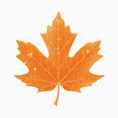 Obraz premium Sparkling orange maple leaf