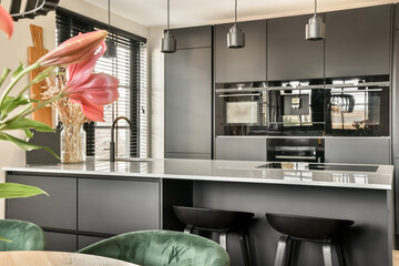 Modern kitchen interior with elegant black cabinets