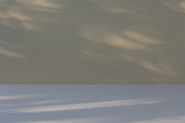 empty room with subtle shadow for background