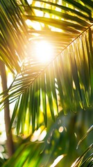 Sunlight filtering through tropical palm leaves