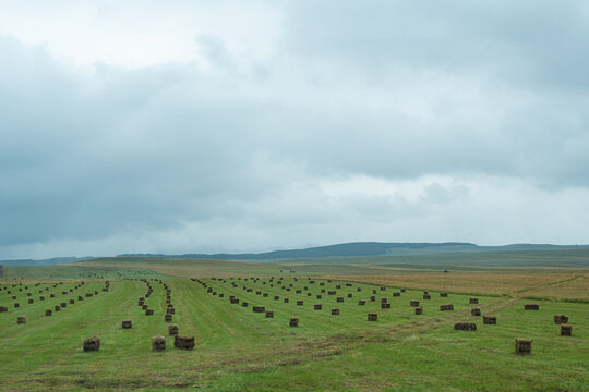 Serene Georgian landscape with systematically arranged hay bales