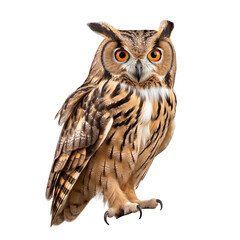 Obraz premium Majestic Eurasian Eagle-Owl Perched on a Wooden Branch