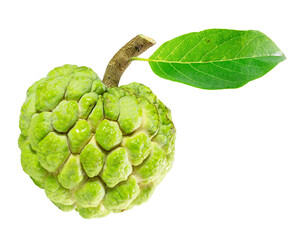 A custard apple, commonly referred to as a sugar-apple or sweetsop, with a green leaf still attached to its stem, set against a white background.