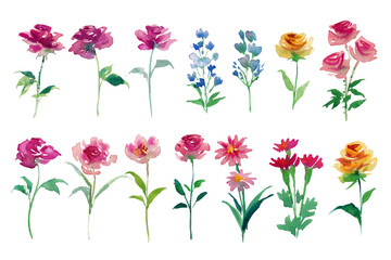 Watercolor paintings set flower in loosing and vivid style