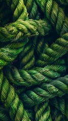 A close up of a green rope