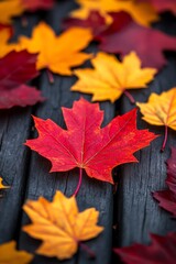Autumn Leaves on Wood