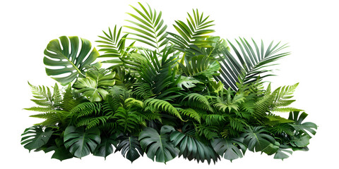 A dense area filled with various plant species