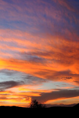 A breathtaking sunset over the bushveld, with vibrant crimson and orange clouds painting the sky, capturing the majestic beauty of the African wilderness