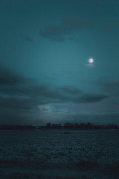 moon and feeld
