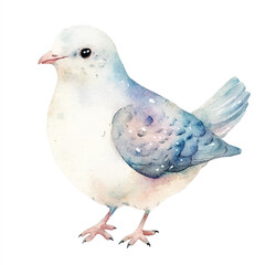cute Dove watercolor clipart illustration isolated