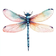 cute Dragonfly watercolor clipart illustration isolated