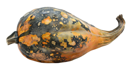 Pumpkin on transparent background