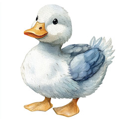 cute Duck watercolor clipart illustration isolated